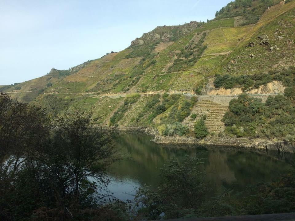 Acogedor Apartamento Ribeira Sacra Monforte De Lemos Buitenkant foto