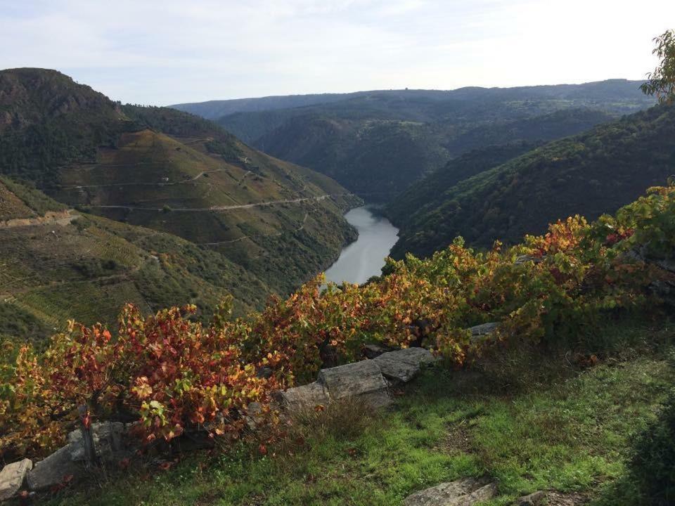 Acogedor Apartamento Ribeira Sacra Monforte De Lemos Buitenkant foto